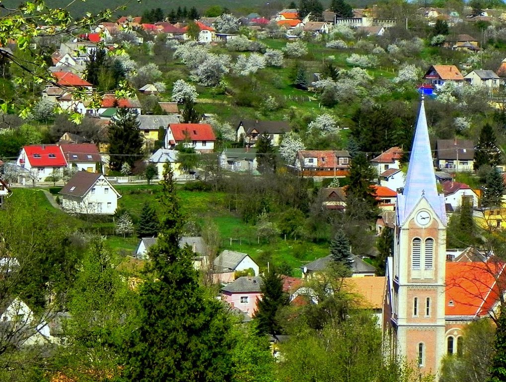 Pécs Kelet tevékenyen bekapcsolódik